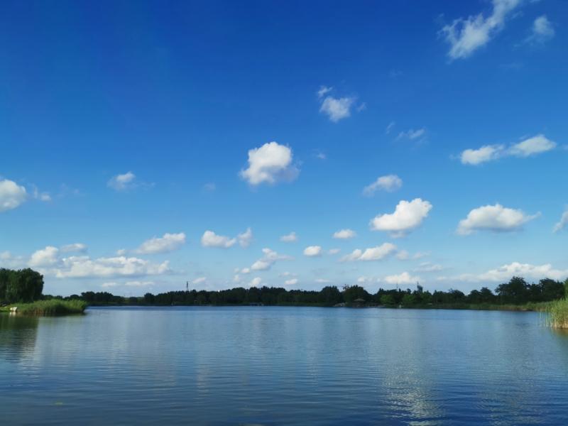 山东宁阳风光赏析（洸河湿地公园）#宁阳#风光#湿地公园#泰安#老家