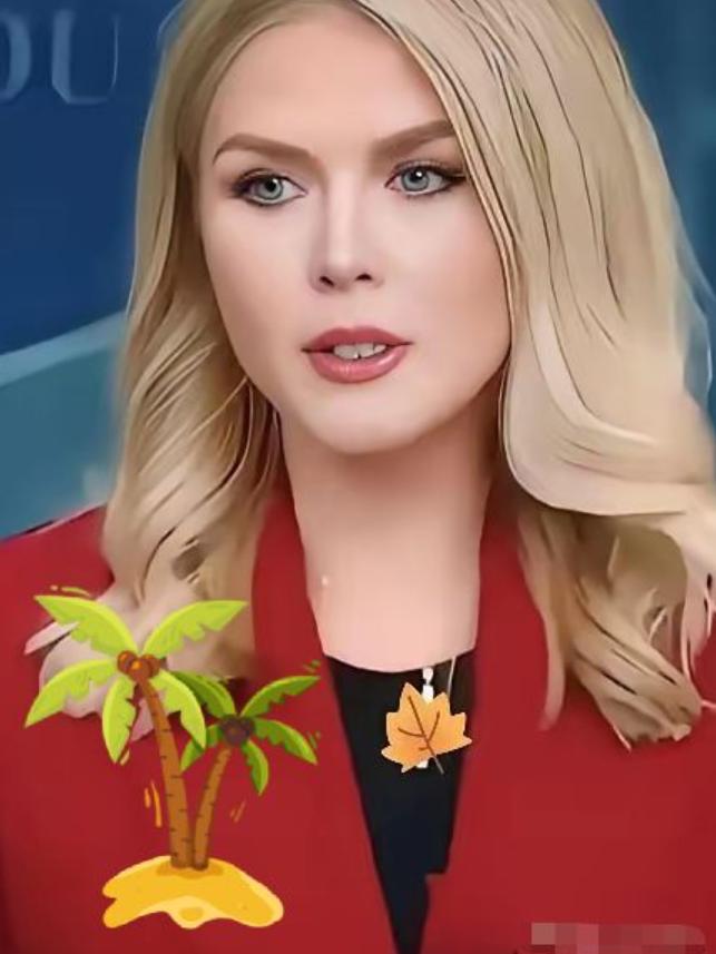 快讯！美国🇺🇸消息
这是怕了？中国围岛军演，美军政齐发声
12月29日，《纽