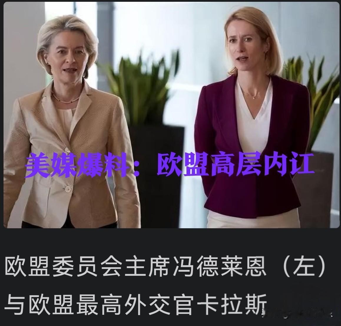 ‌欧盟高层内讧：冯德莱恩与卡拉斯权力博弈加剧‌

   据外媒报道2026年1月