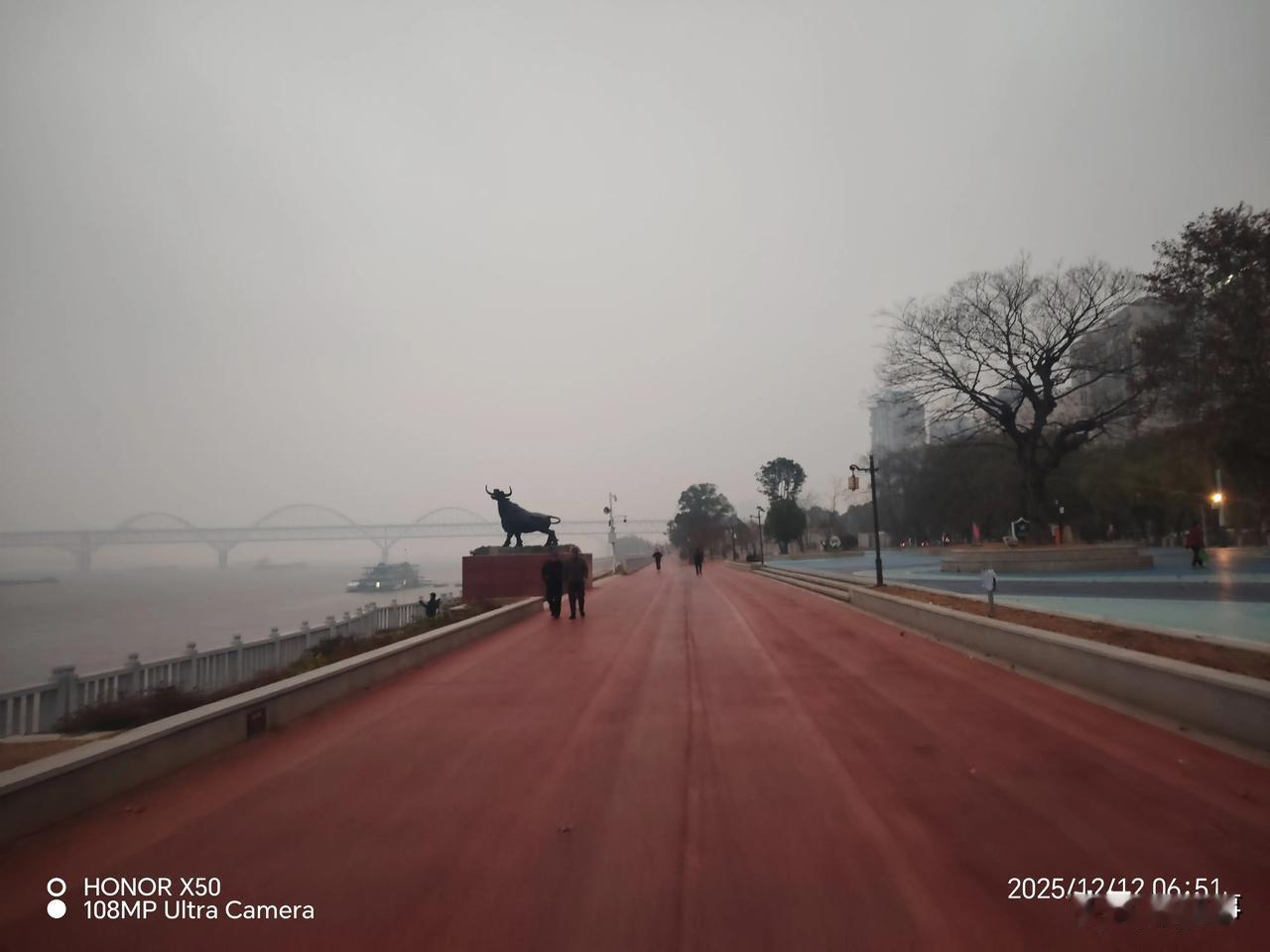 《镇江牛》广场晨练打卡