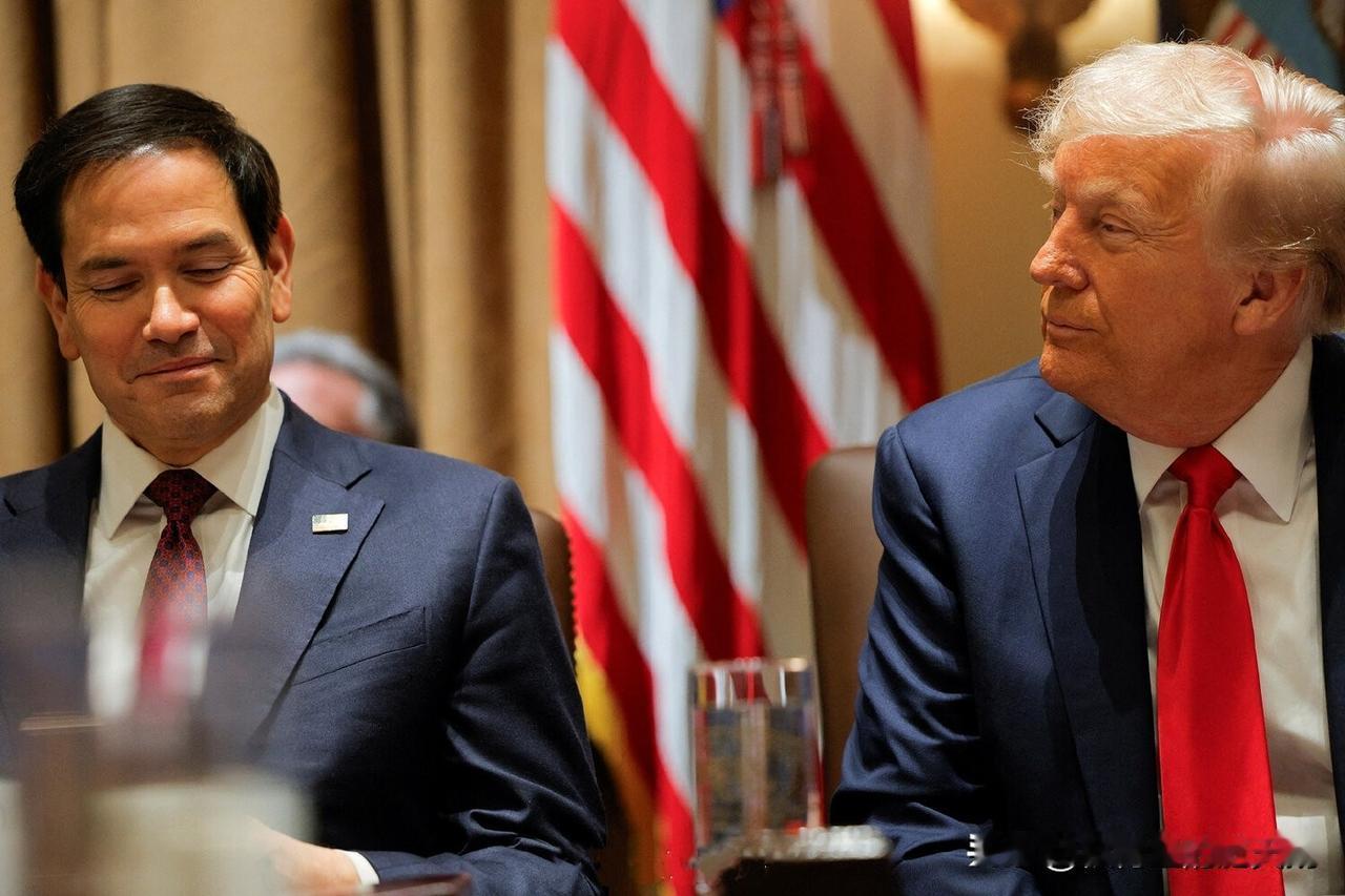 绑架成功后，土匪团伙飘上了天。
懂大土匪支持马可·鲁比奥担任古巴总统候选人：
[