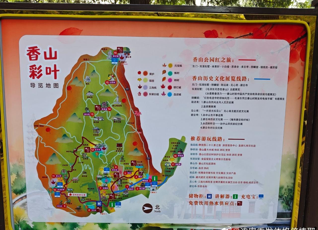 今天半个北京的人都在香山吧