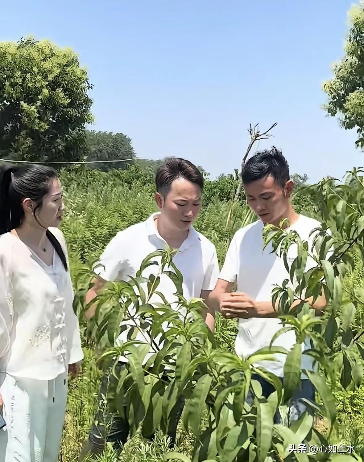 怀远男子勤恳养家，收入被盯梢质疑，深夜归家竟不许进门

他从不赌博也不偷懒，更不