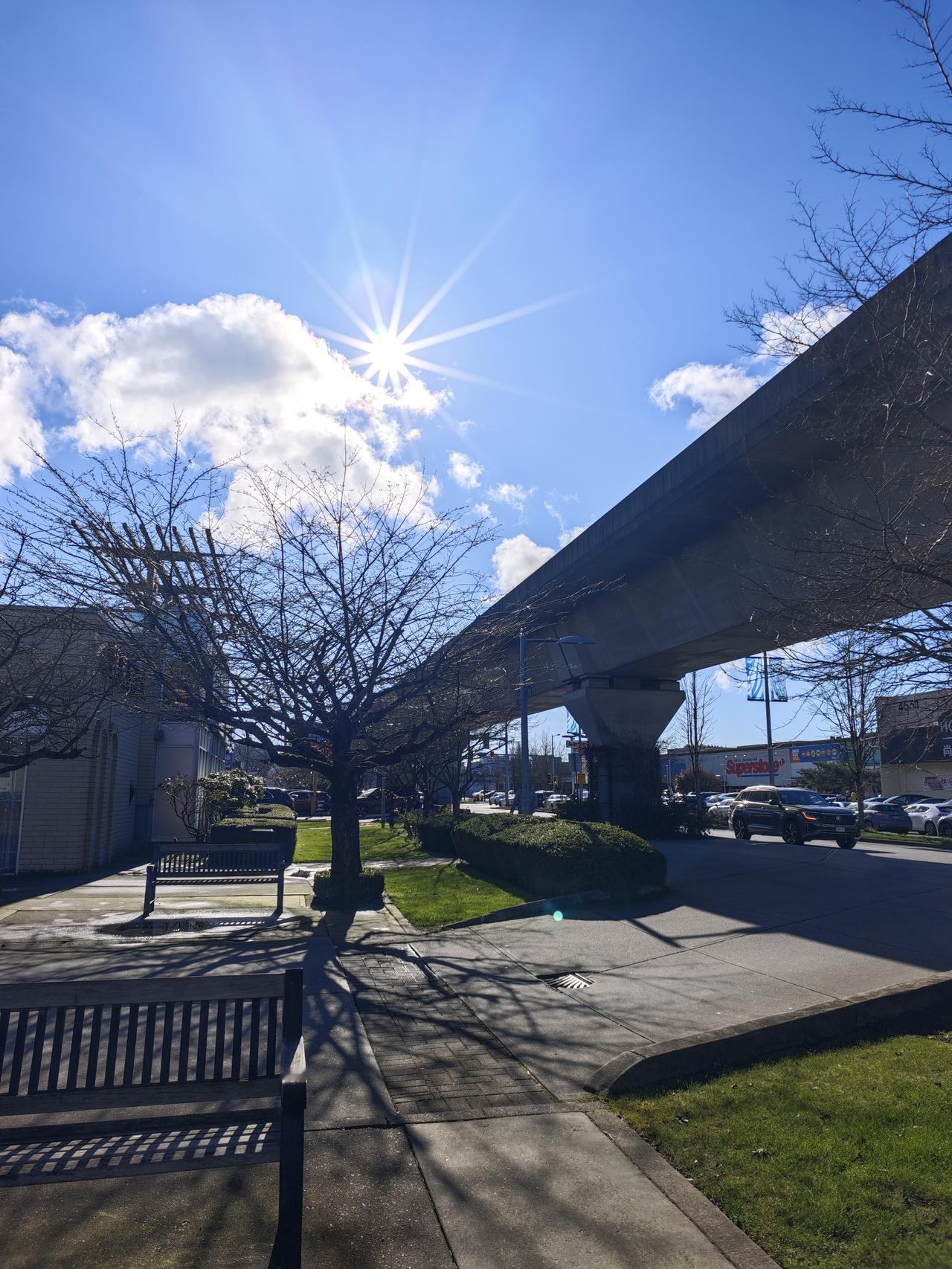 今天跟广州大姐一起去列治文购年货，明天晚上有10来个朋友来她家打边炉，作为春节的