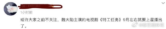#如果孟宴臣遇见的是蔡敏敏##魏大勋主演特工任务或将9月播出# 希望网传的这个消