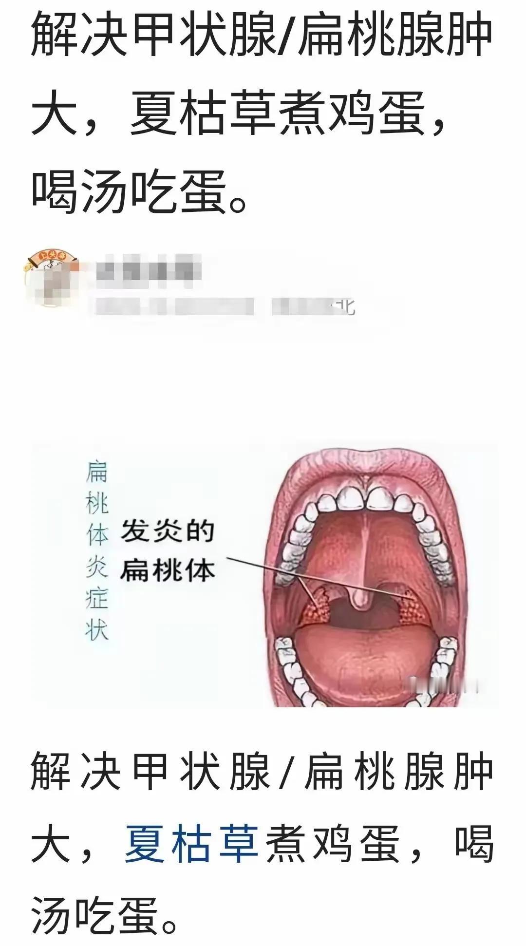你知道吗？鸡蛋和中药的搭配运用，竟然在中医领域有着意想不到的效果！今天就来带你一