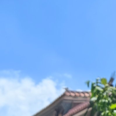 自己的命运从来都是掌握在自己的手中，好生活在于进取，也在于知足。做自己喜欢的事，