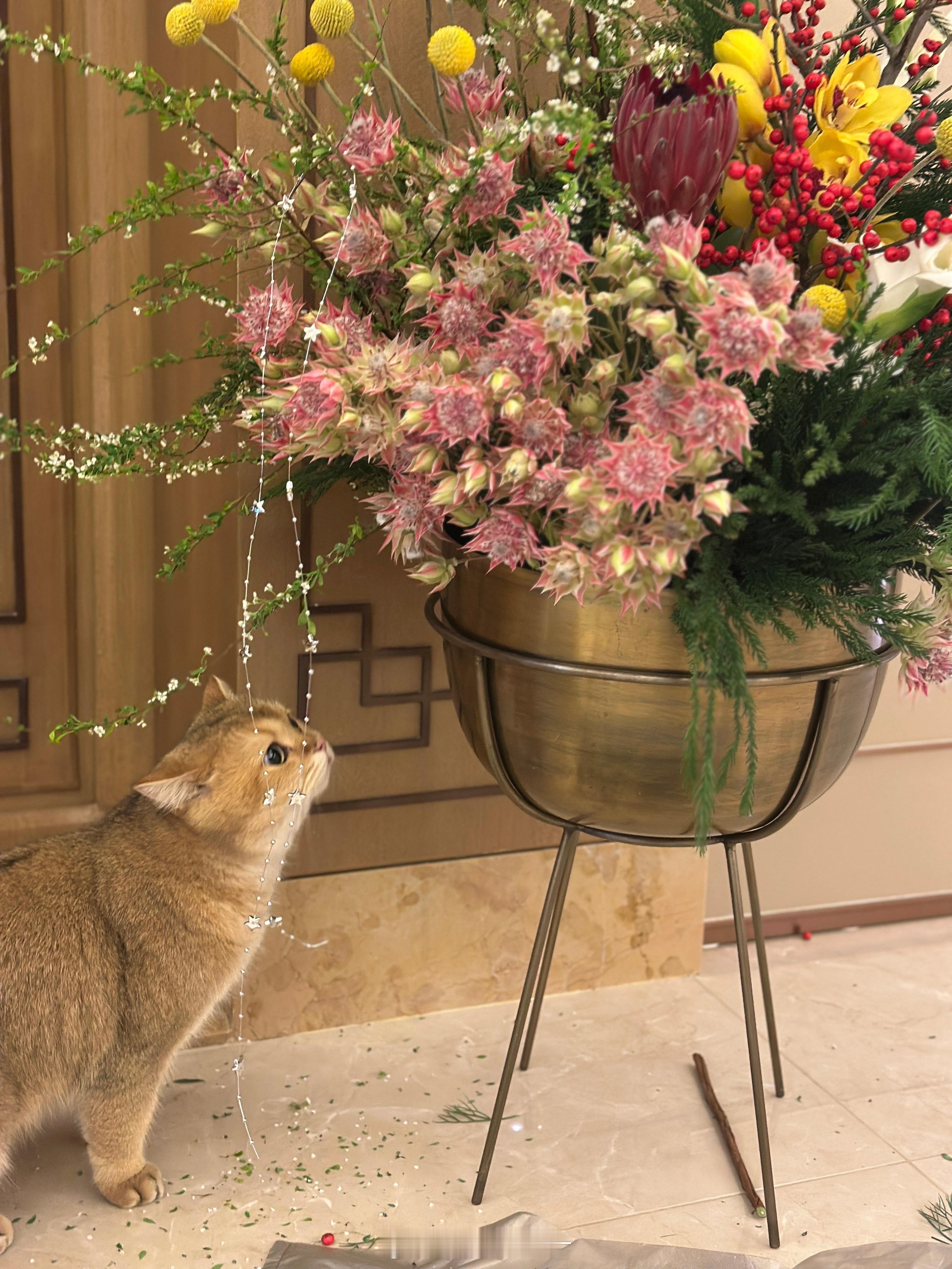 年末总结喜乐起点🔺 太原