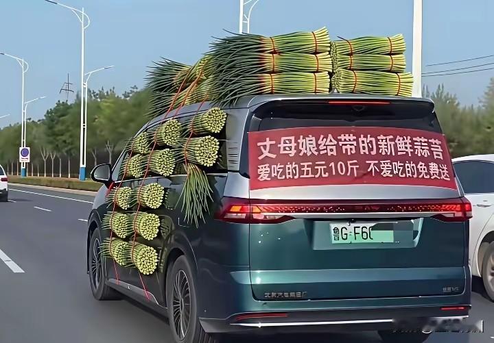 最近看到那么多有关蒜台的视频，有追着人送的，不要再继续搭一块肉送。有把蒜台偷偷送