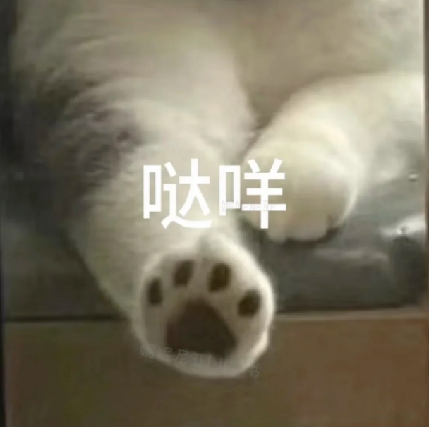 突然发现高跟鞋设计的很窄 高跟鞋只能拍照凹造型出片的时候穿，平常穿不了一点，纯纯