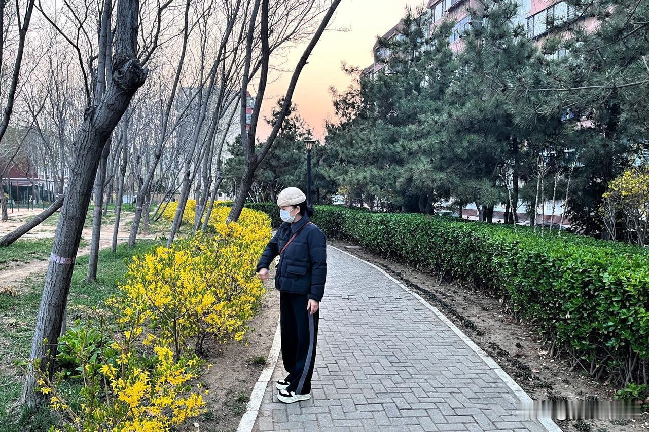 养老金调整的话题，永远牵动亿万国人的心。有人盼着涨幅再高些，缓解晚年养老压力；有