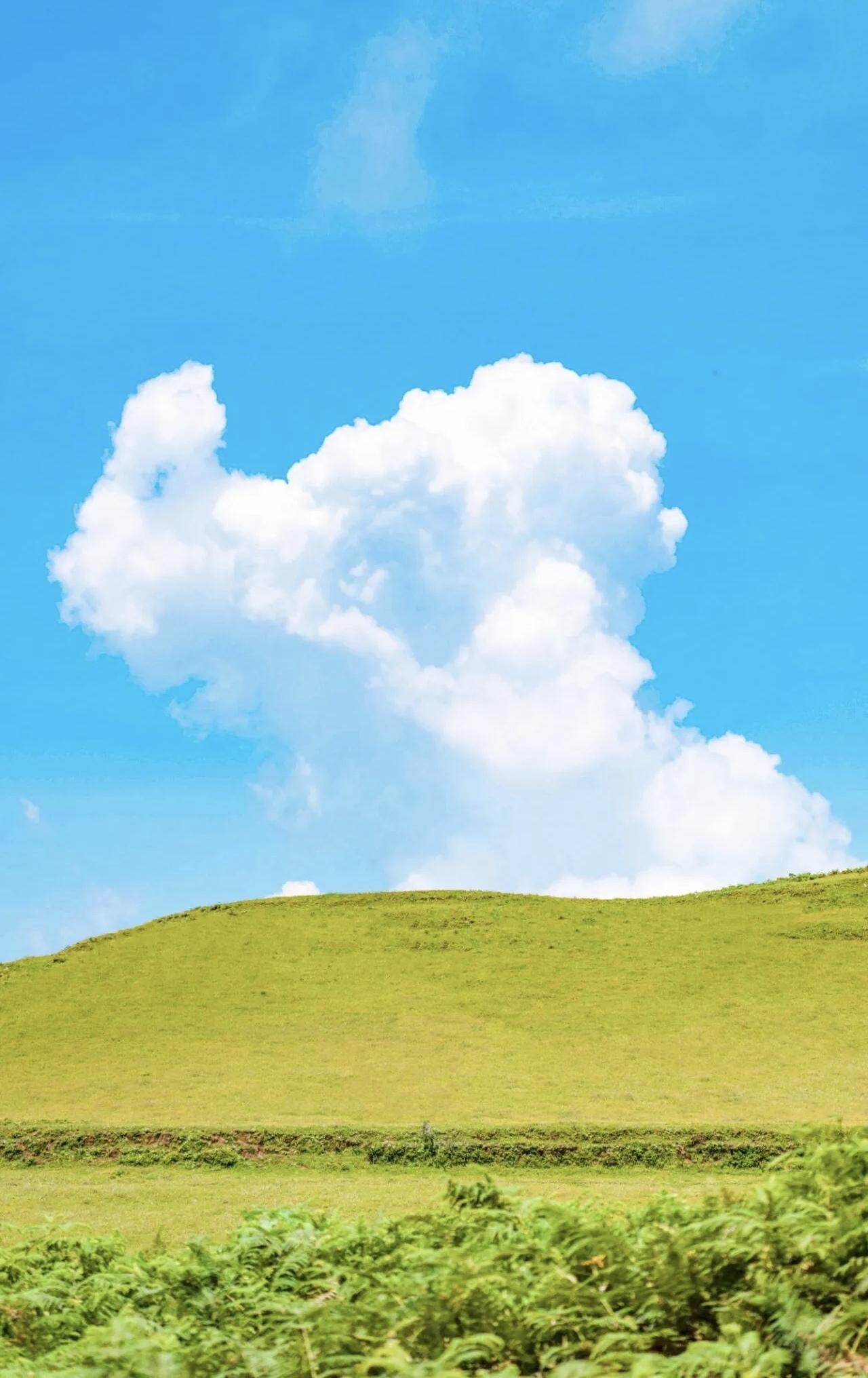 【合格的男人，在伴侣的心情和你给其她女人提供方便有冲突时，首先要考虑的就是伴侣的