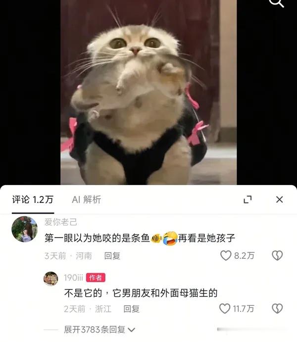 孩子是无辜的，放下喵质，冷静啊，不要做傻事！ 