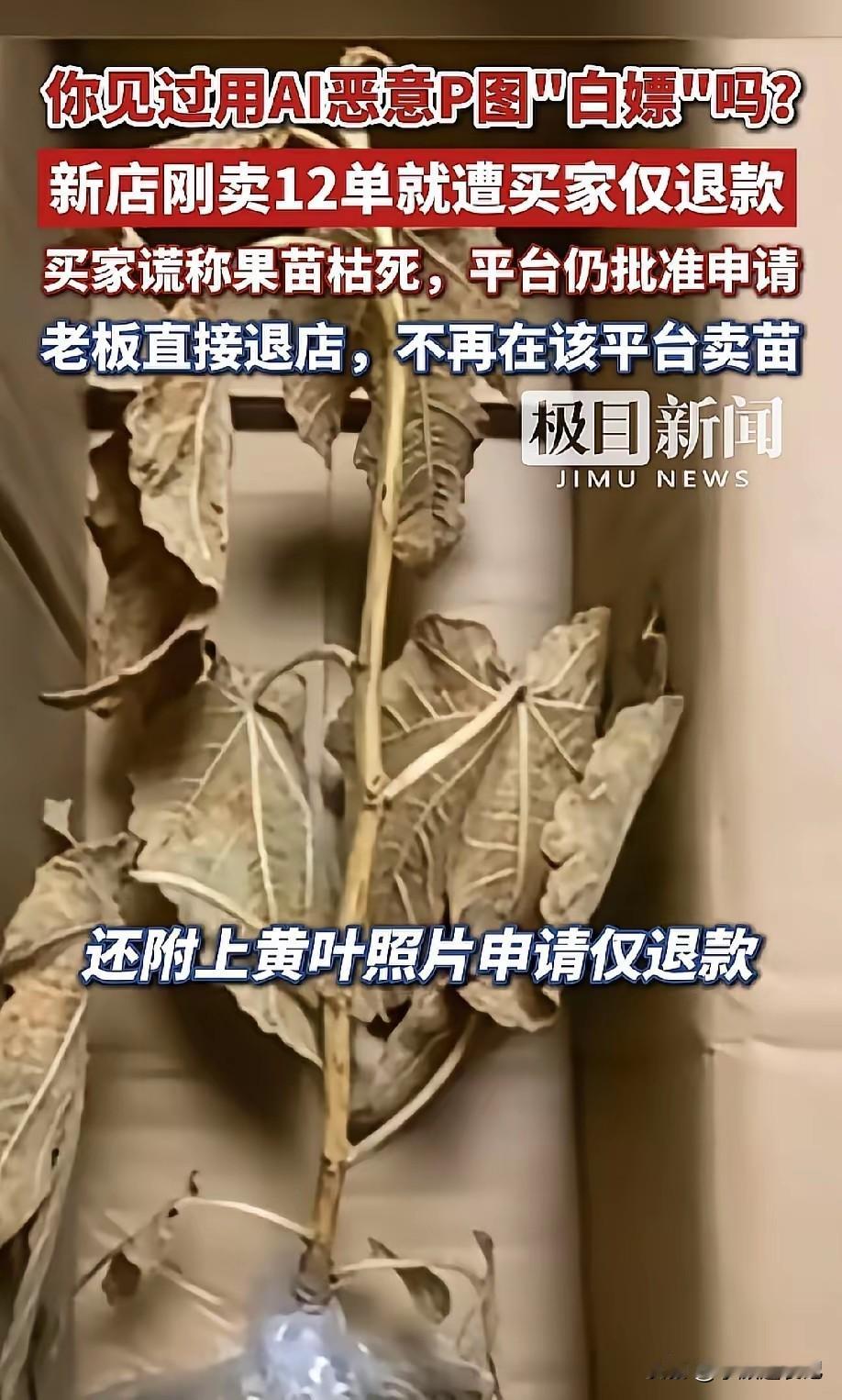 河北的种植户张先生在自己网店上售卖无花果苗，他一共售出12单，没想到遇到买家申请