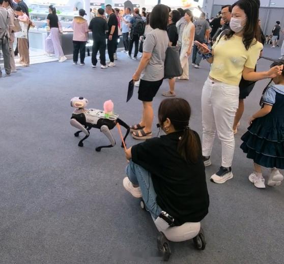 2026世界机器人大会机器狗  上周末带我家“大头”（维他动力Vbot）去逛世界