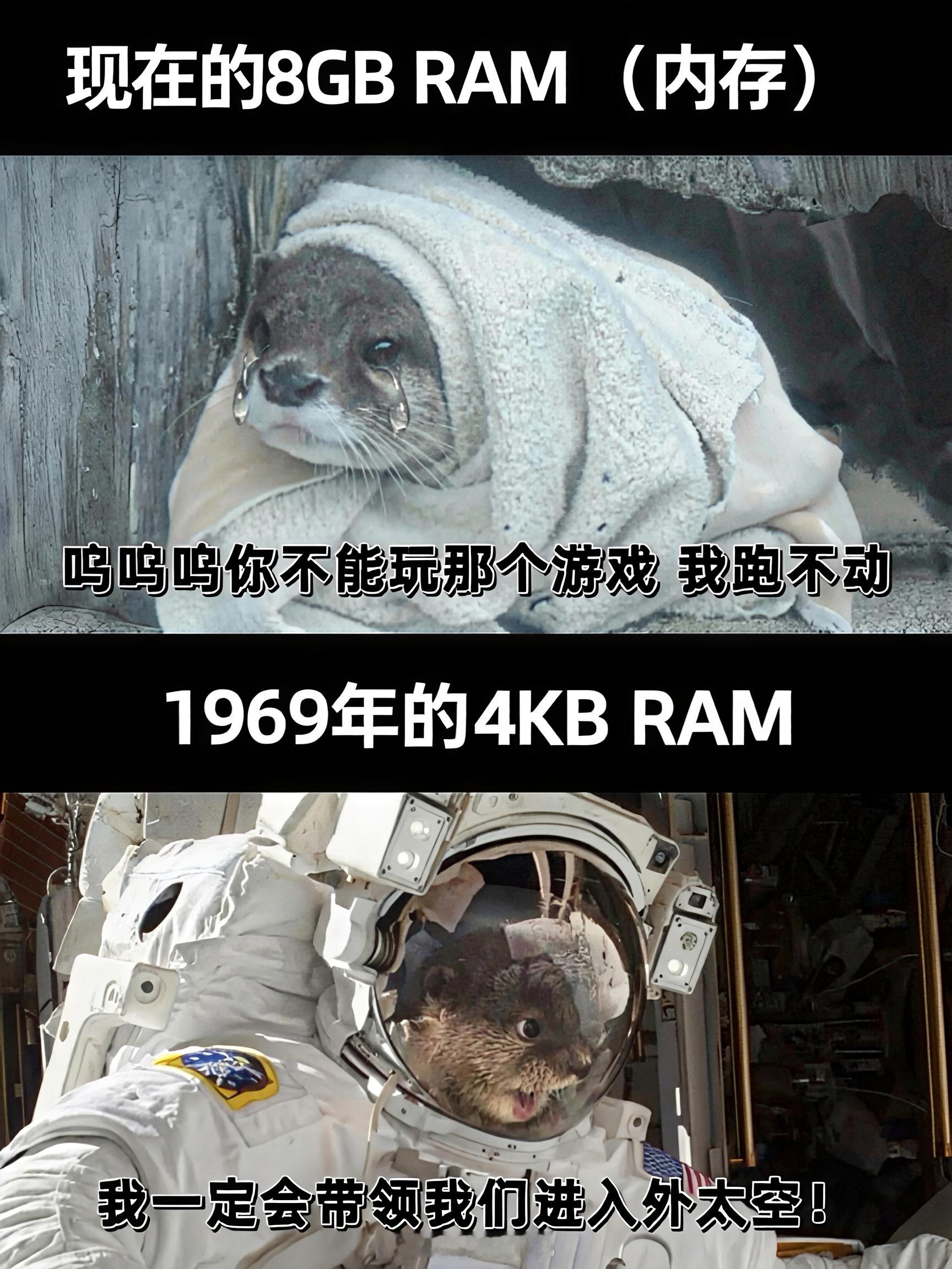 初生牛犊不怕虎和现在的唯唯诺诺老年人