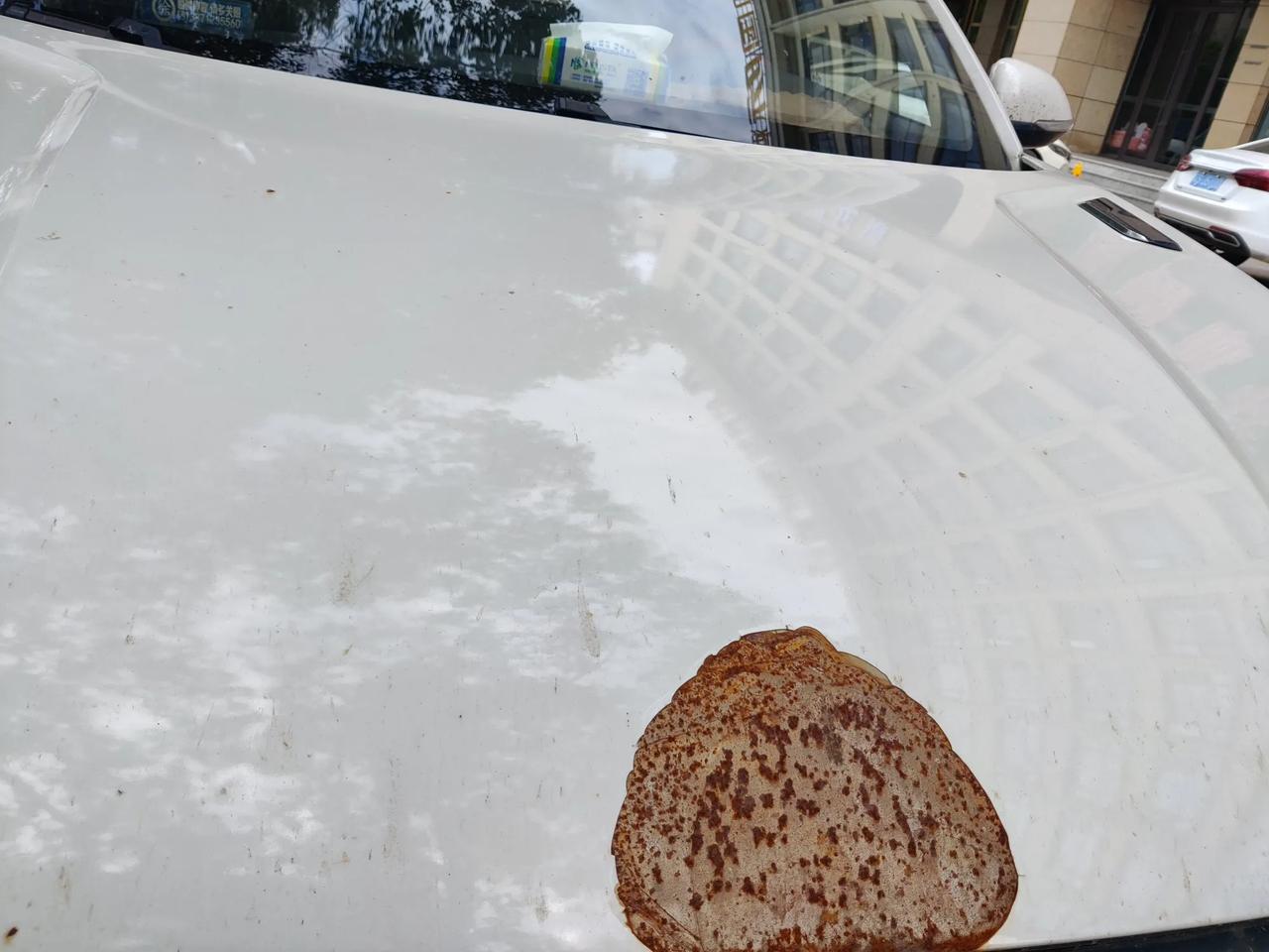 什么牌的汽车，锈得很可以啊！