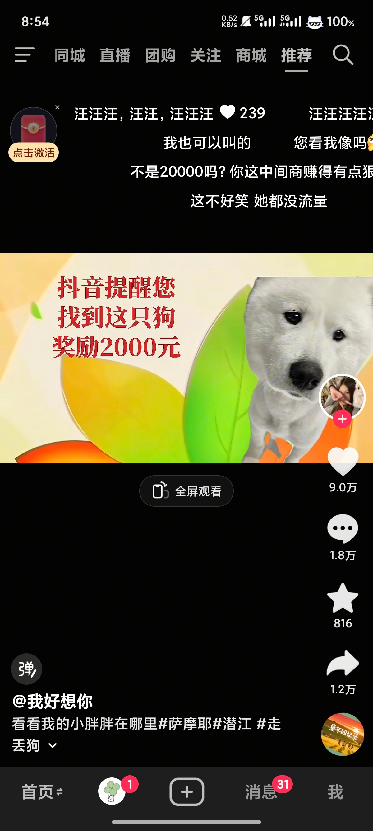 我每次刷到这种视频我难受死了我不得劲，我飞过去把所有狗儿猫儿全找回来。 