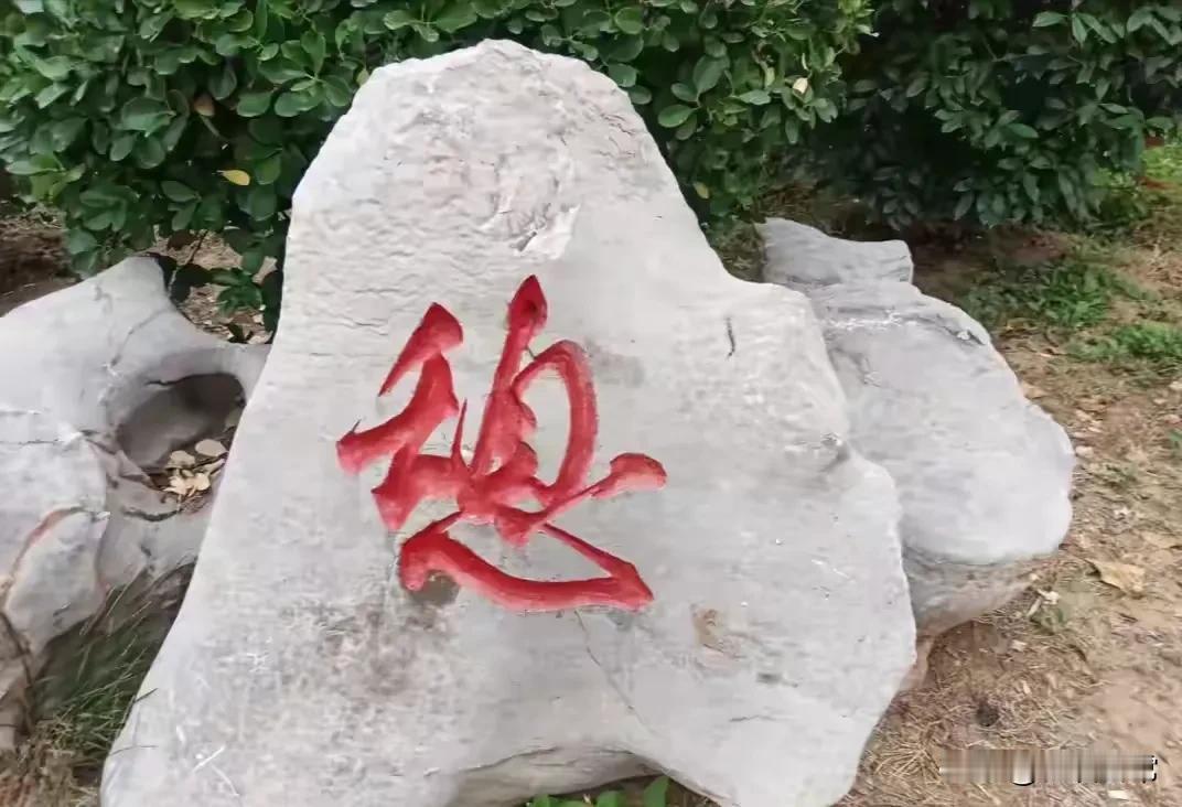 没有文化真的太难了！石头上面只有一个字，既然都认不得是什么字，到处去问人这个是什