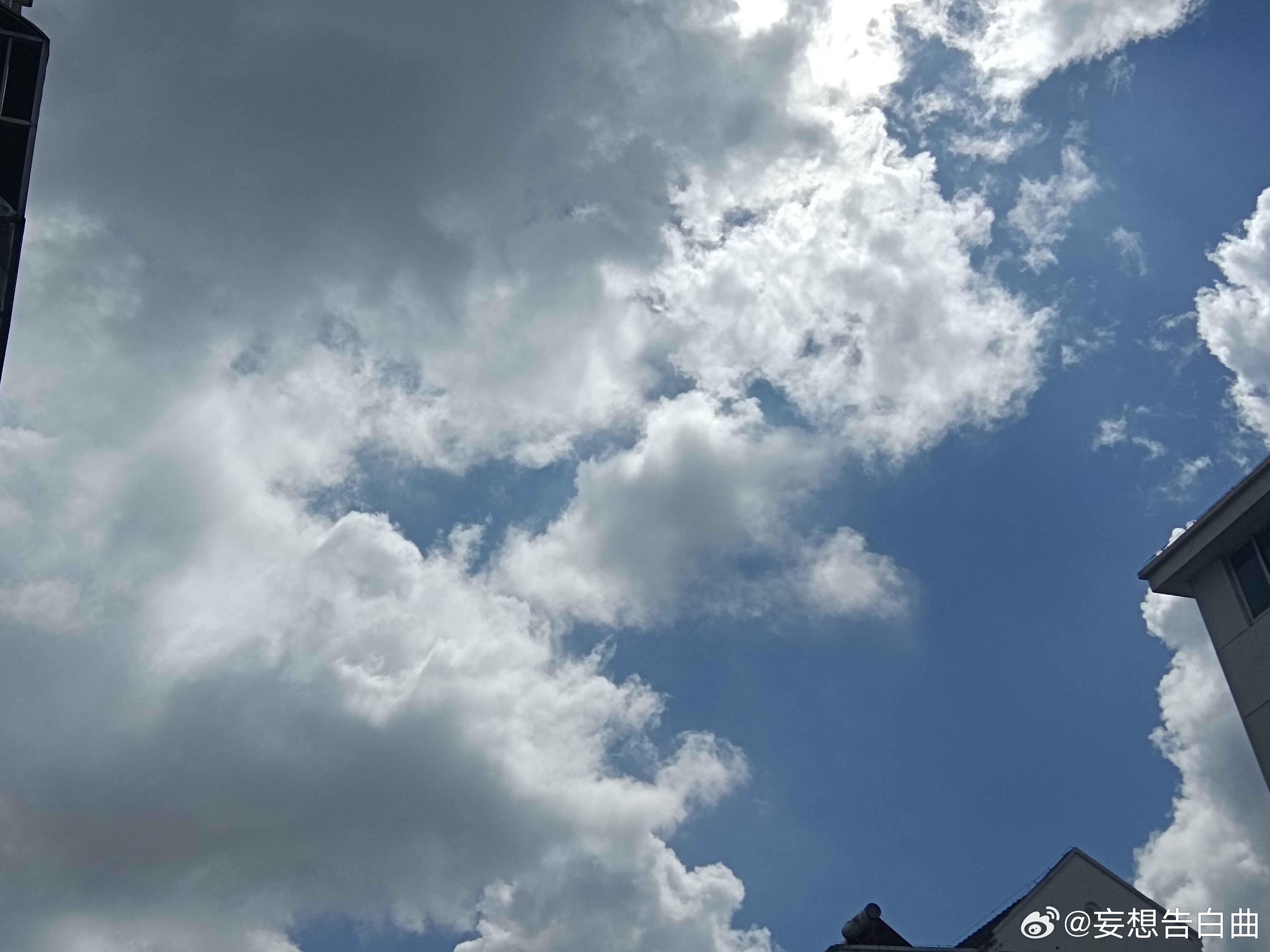 分享图片 ​​​