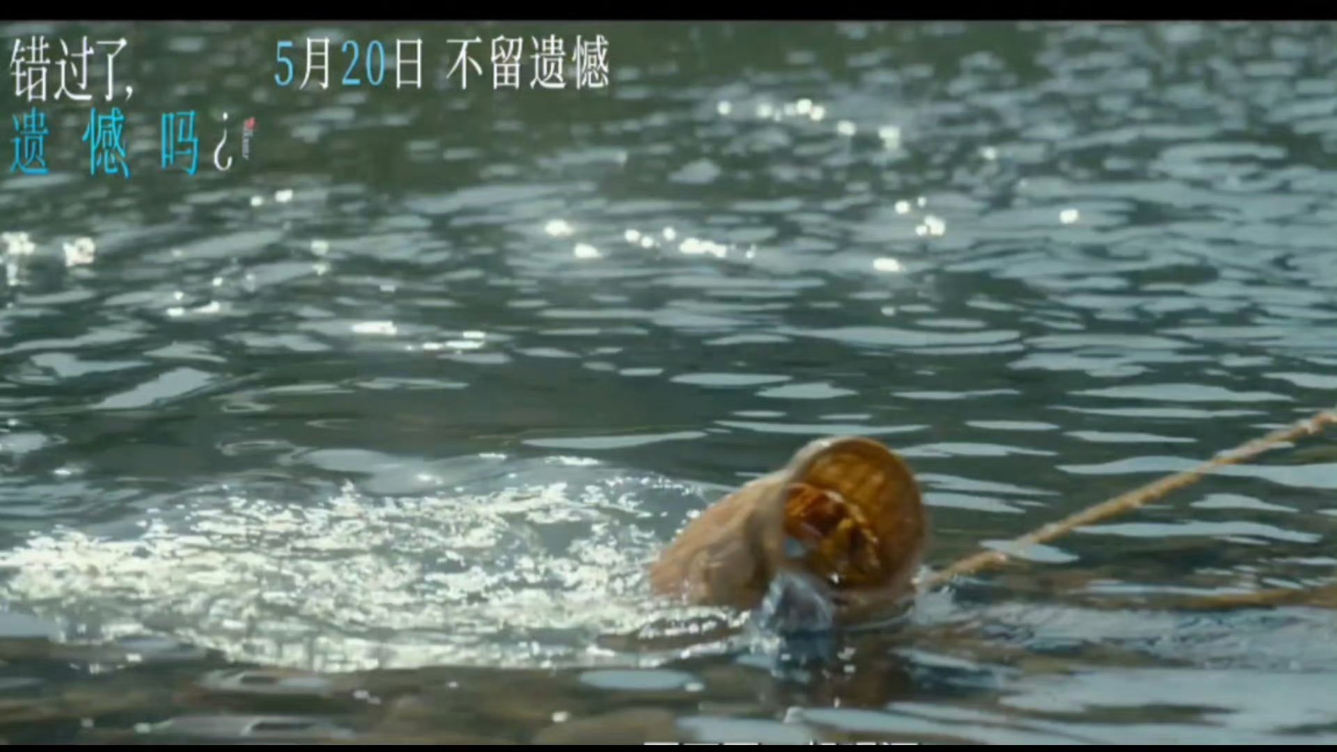 电影错过了遗憾吗终极预告《错过了，遗憾吗？》终极预告来袭！庄达菲演绎失恋成长蜕变