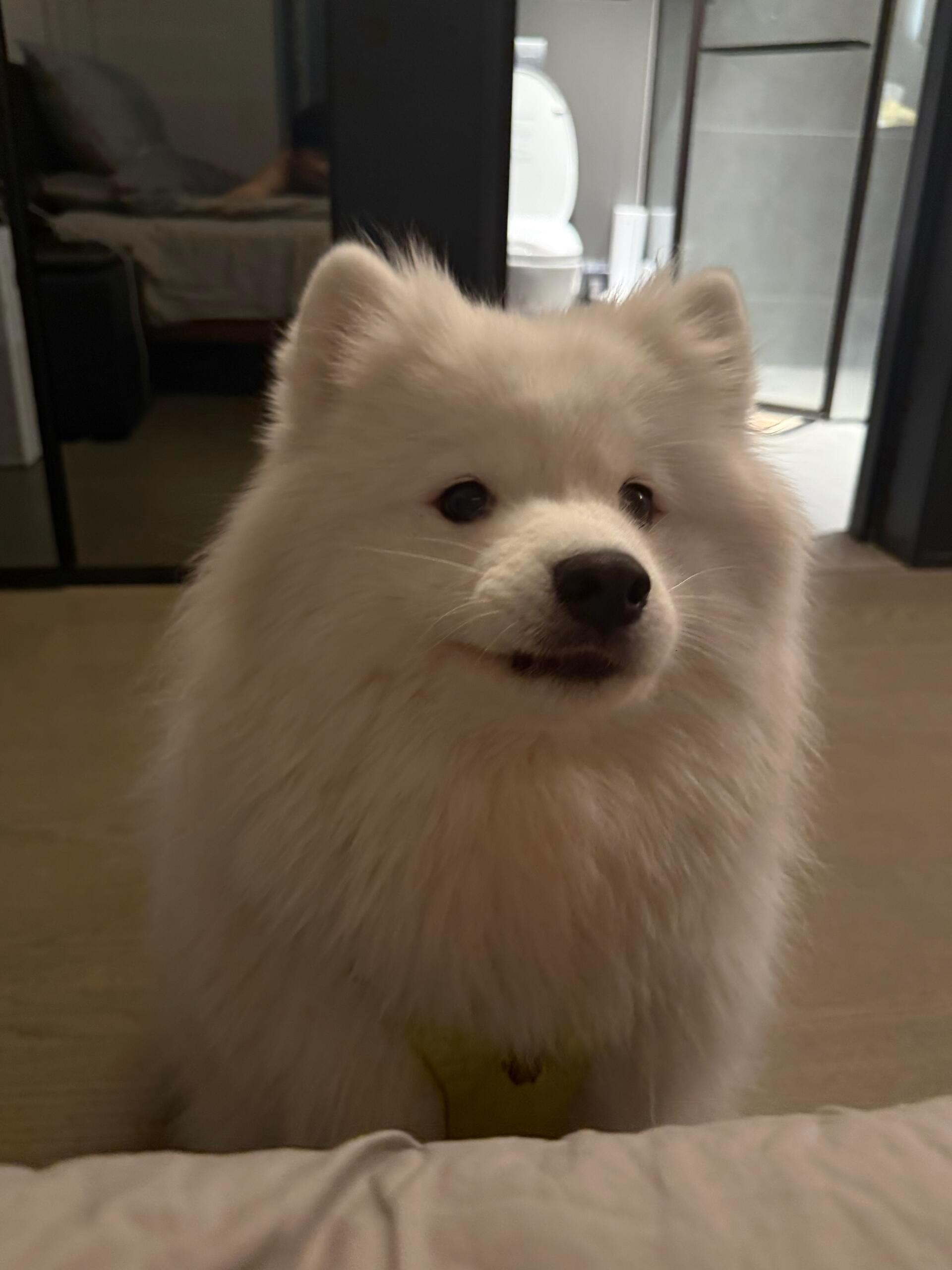 人，你也为我着迷吧 ​​​