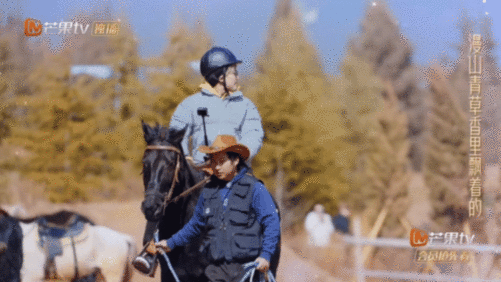再就业爷爷今年十八岁骑马篇快乐老友记快乐老友有风季 风掠过草原，他们并肩奔跑，这