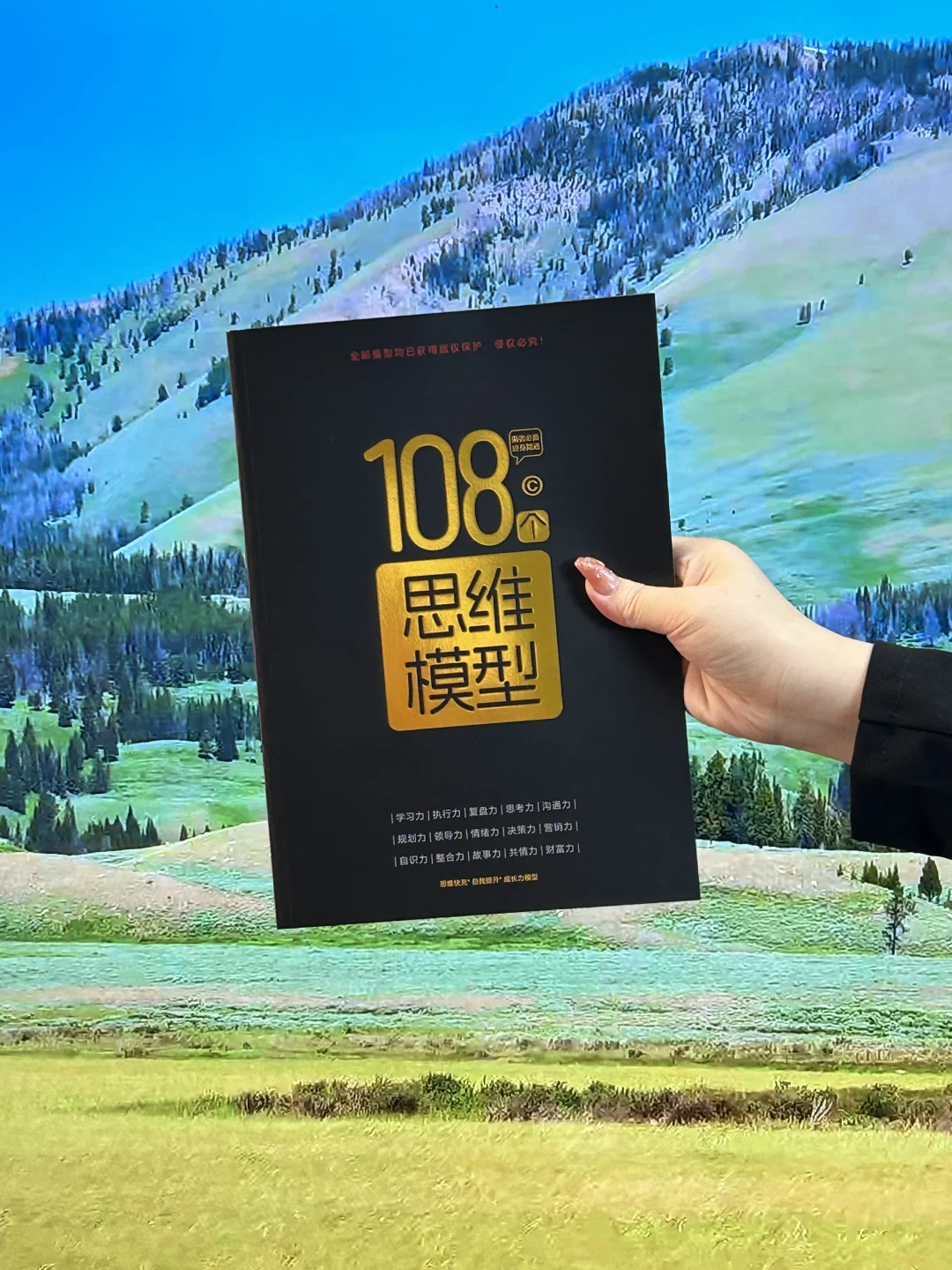 一次性吃透，进阶必备的108个思维模型