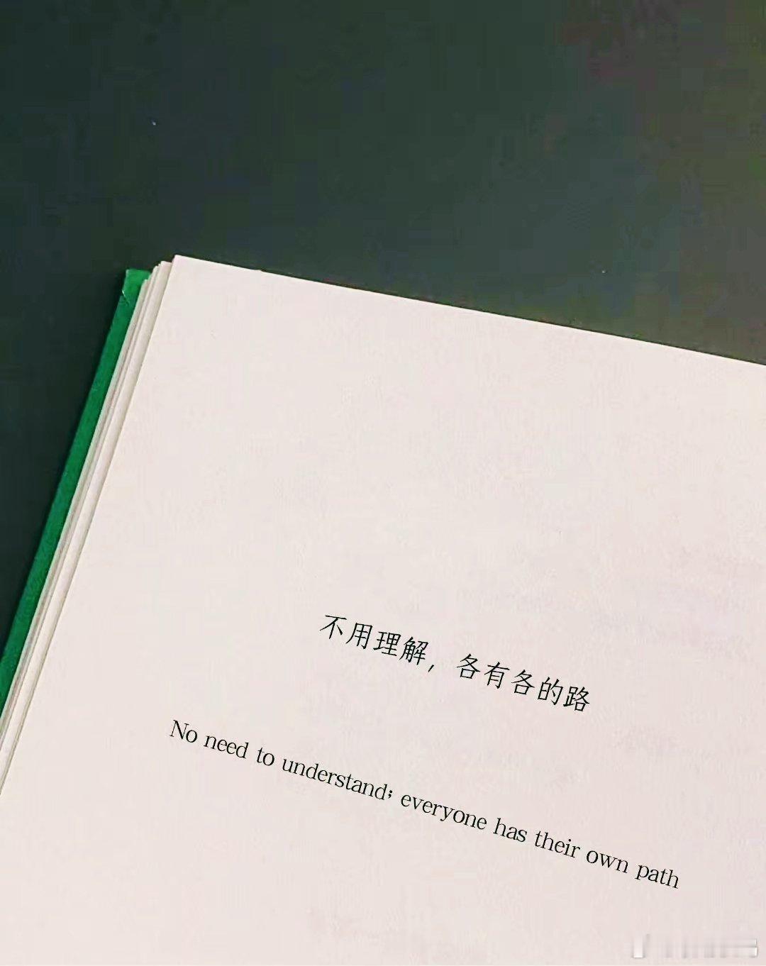 “不用理解，各有各的路。” 