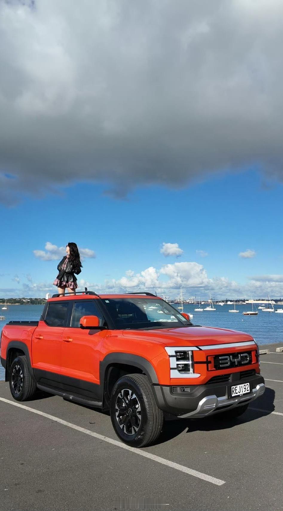 鲨鱼皮卡确实很火 