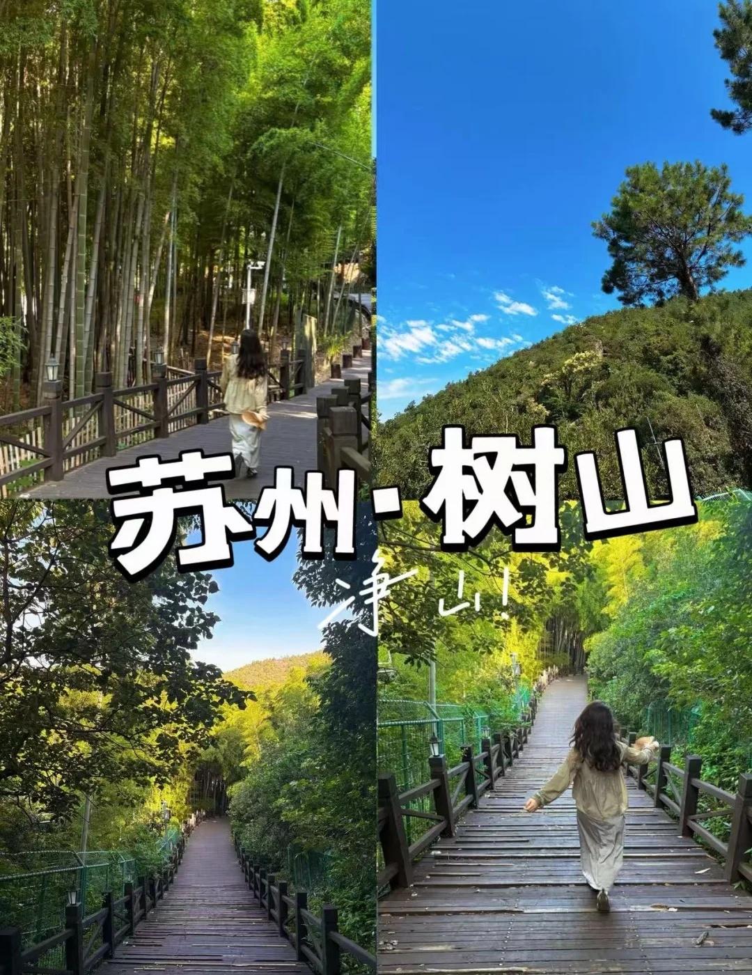 已成行 11.1 苏州·树山！森系天花板
上海户外运动社群【北岸青年】
徒步｜登