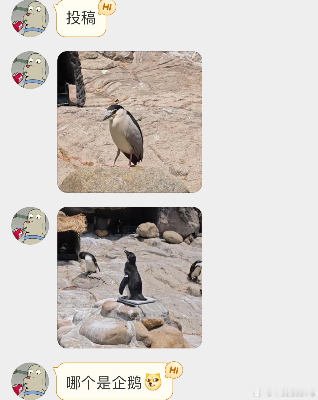 只能说一模一样🐧 ​​​