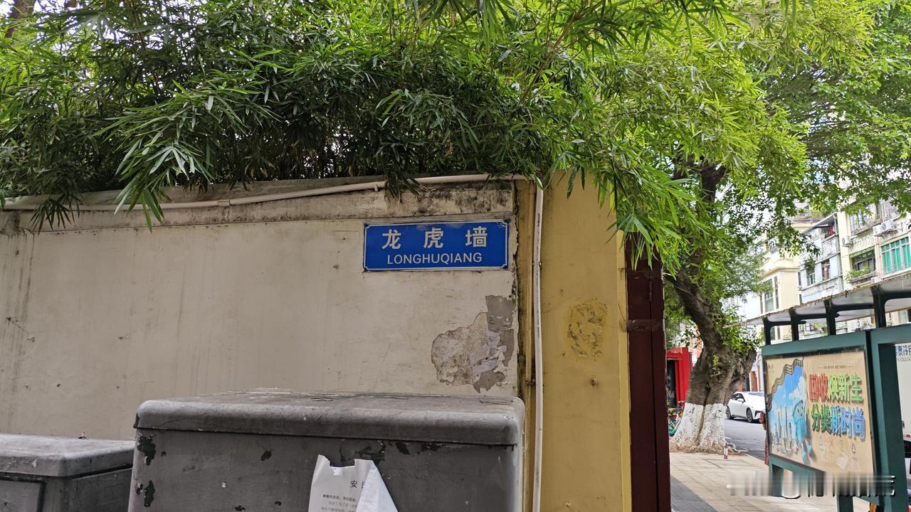 文明路上，中山图书馆旁，有一面“龙虎墙”，有点破烂有点肉酸。

烂蓉蓉的青砖墙，