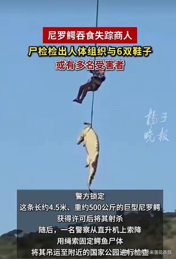 南非巨鳄肚里翻出6双鞋！失踪商人疑遭吞食

南非一名59岁商人驾车穿越洪水时失踪