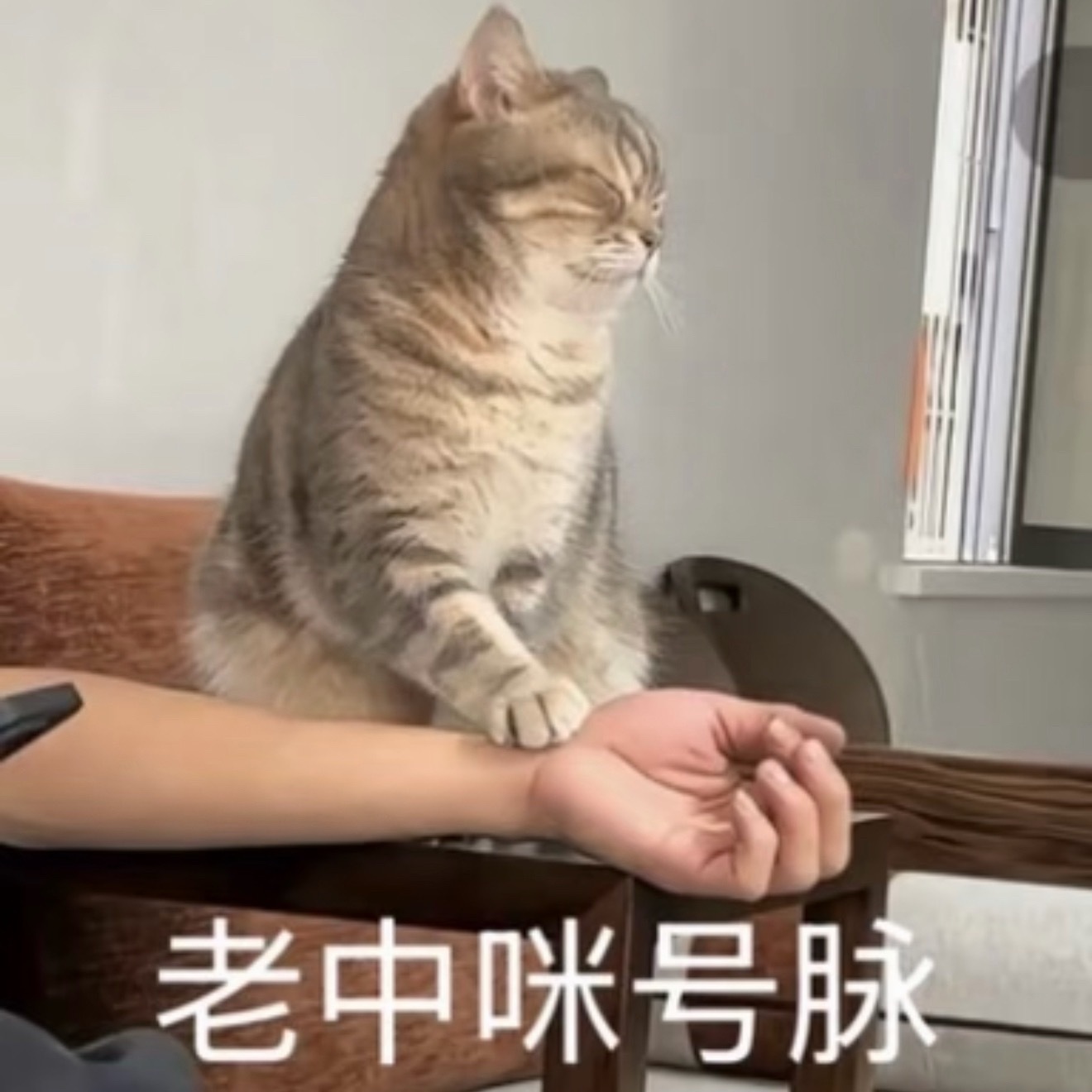 听起来很贵其实很便宜的东西，之前我总以为迪拜很贵，看了博主才知道那里吃的买一个人