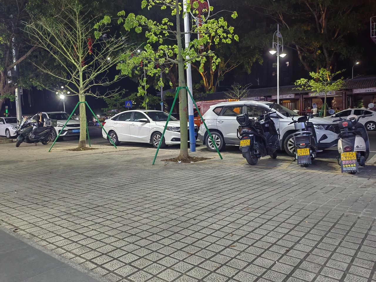 夜晚街头的静谧，绿树与车影相映成趣。