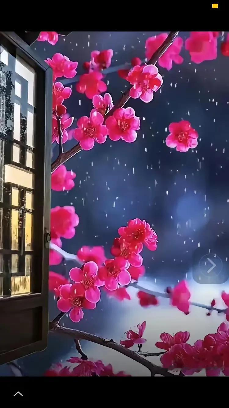 上联：？？？
下联：雪花纷飞梅为谁。