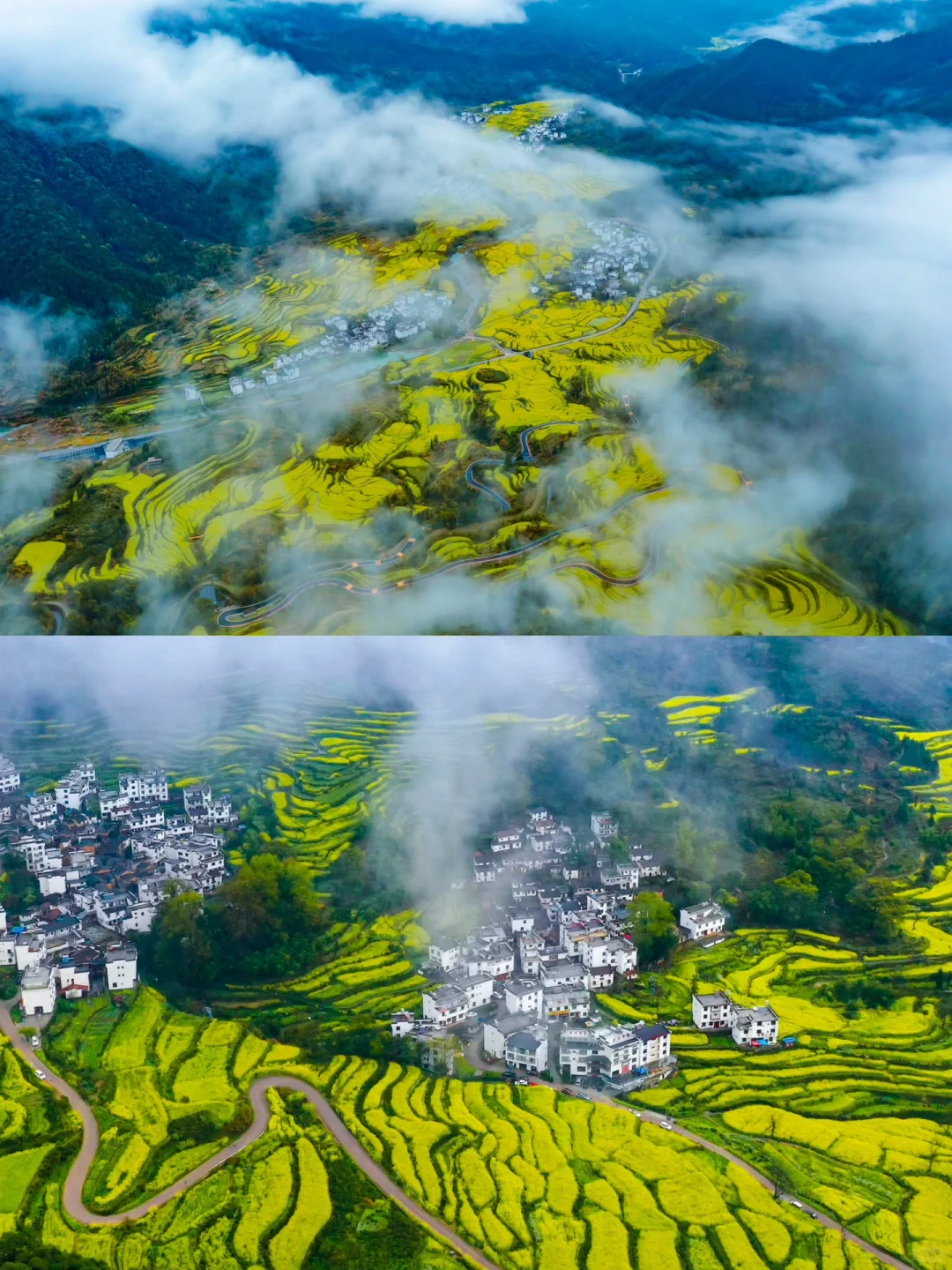 春游季｜怎么能错过婺源的油菜花海呢？