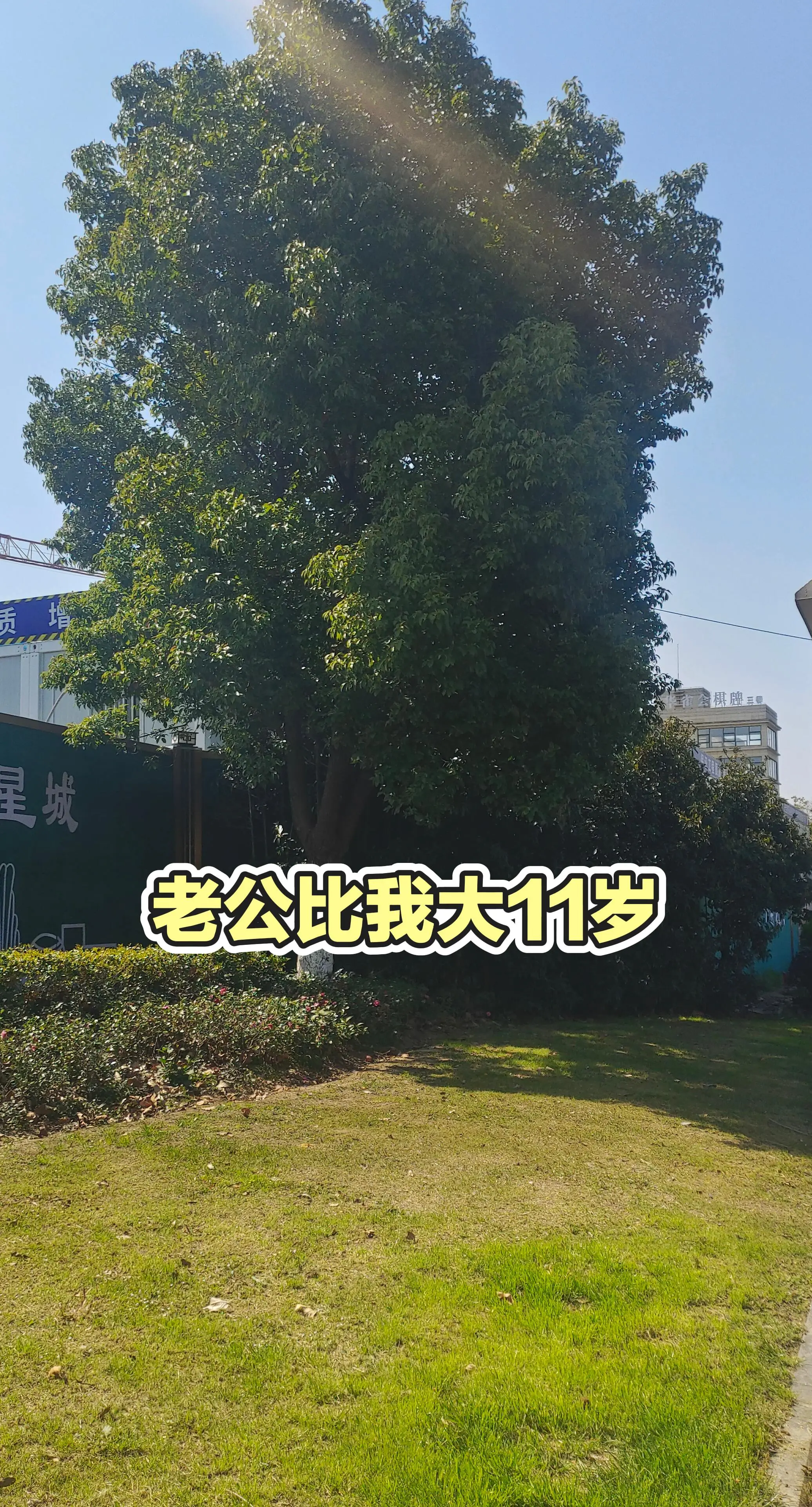 分享有趣的视频
