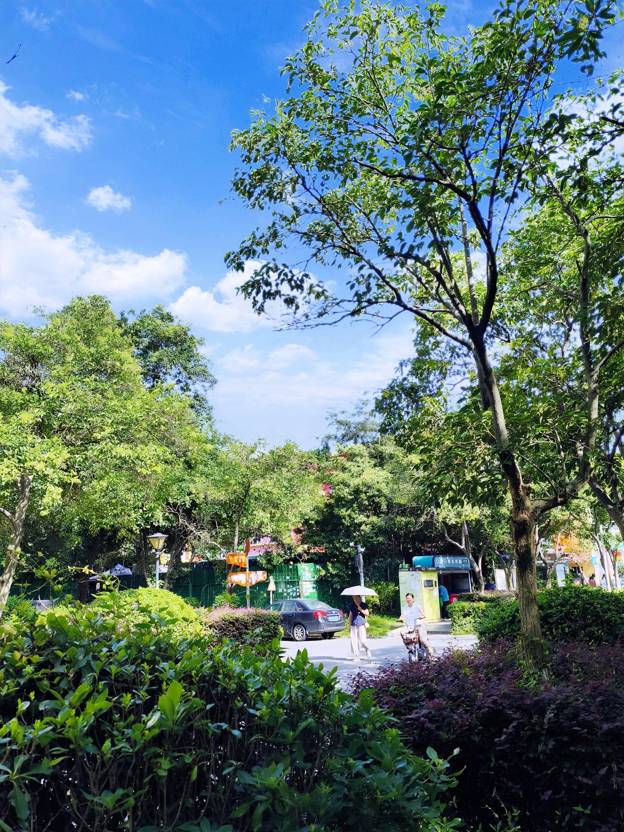 台风“巴威”一走，南京的黄梅天结束了，可高温黄色预警紧接着就来了。中央气象台说了