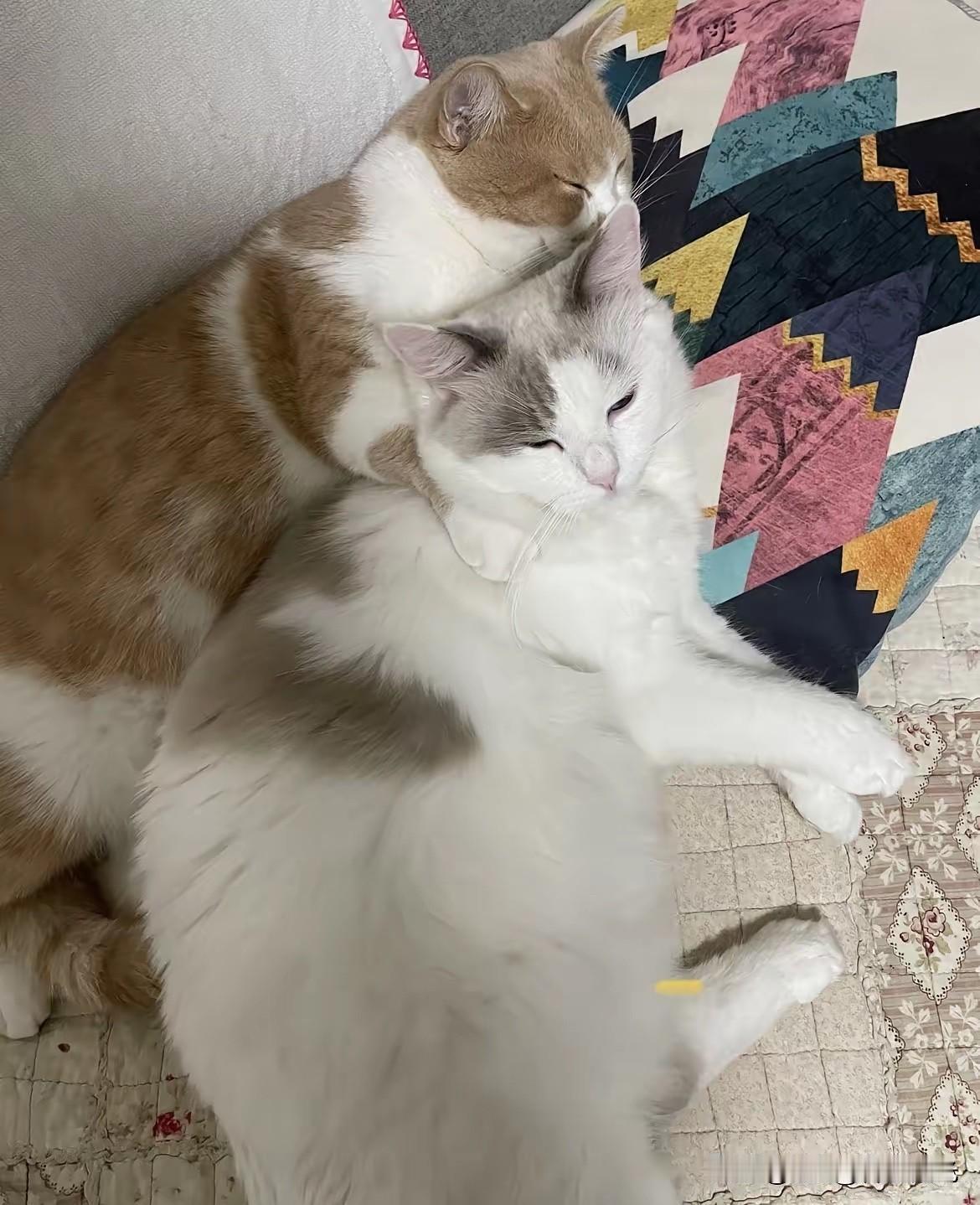 刚才和朋友聊天，她说25年的高考题，有一道题是问：人的五官，是哪五官？我说，这还