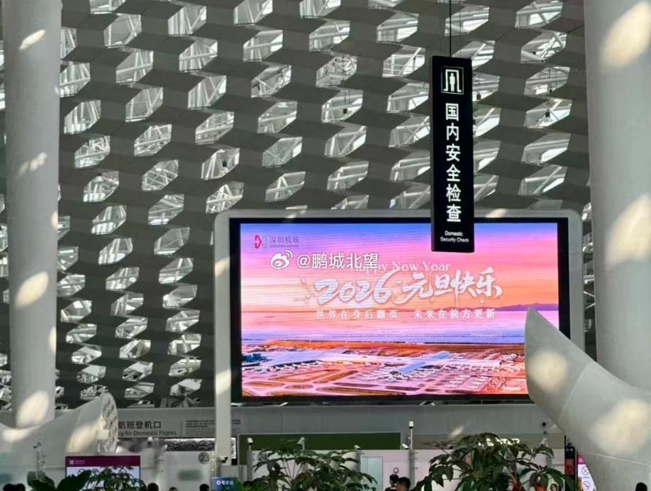 被深圳的新年文案戳哭了世界在身后翻页，未来在前方更新。深圳的年轻不是年龄，是骨子