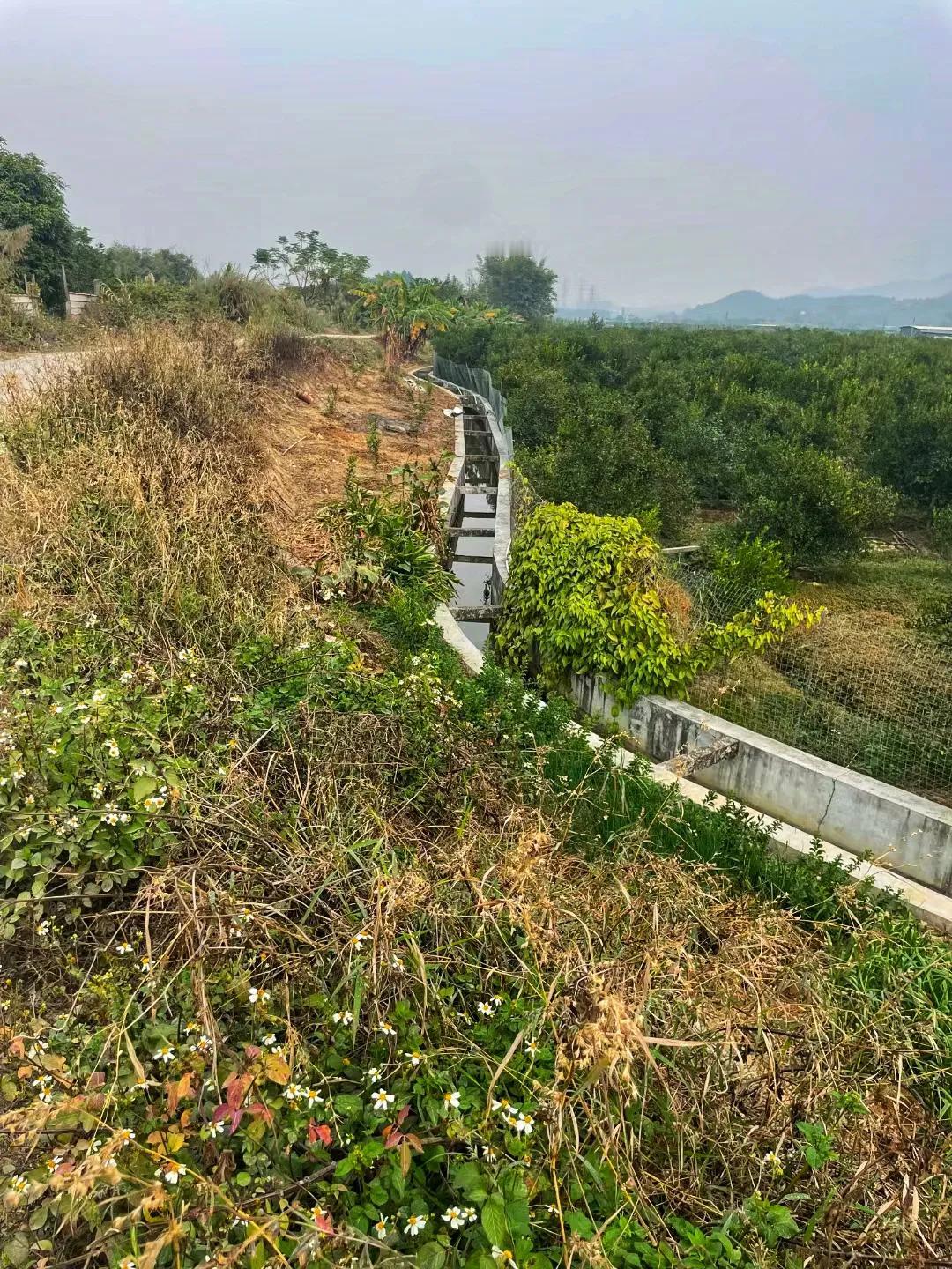 工作点滴足迹：新会大泽镇
历史：
大泽镇得名于南宋景炎年间（1276 - 127