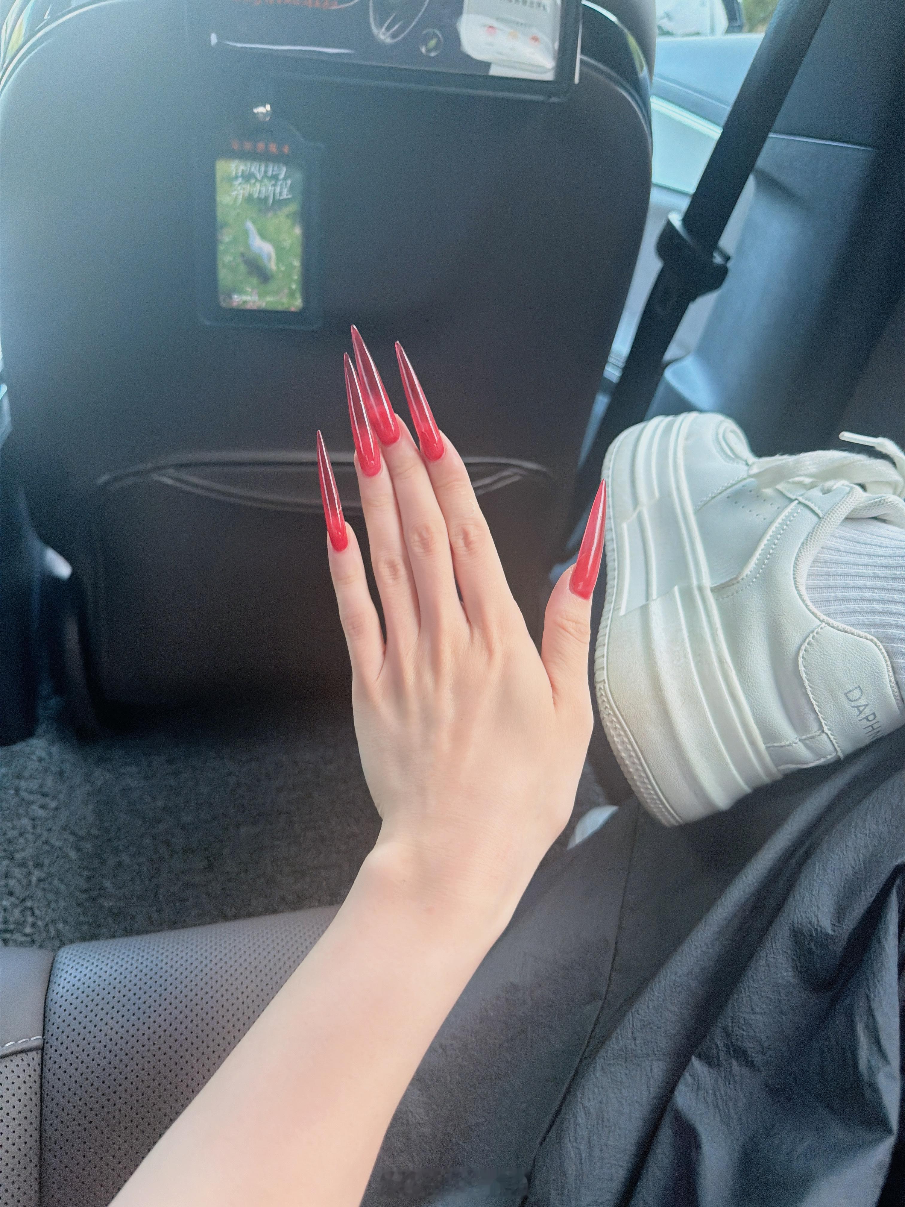 美鼠 