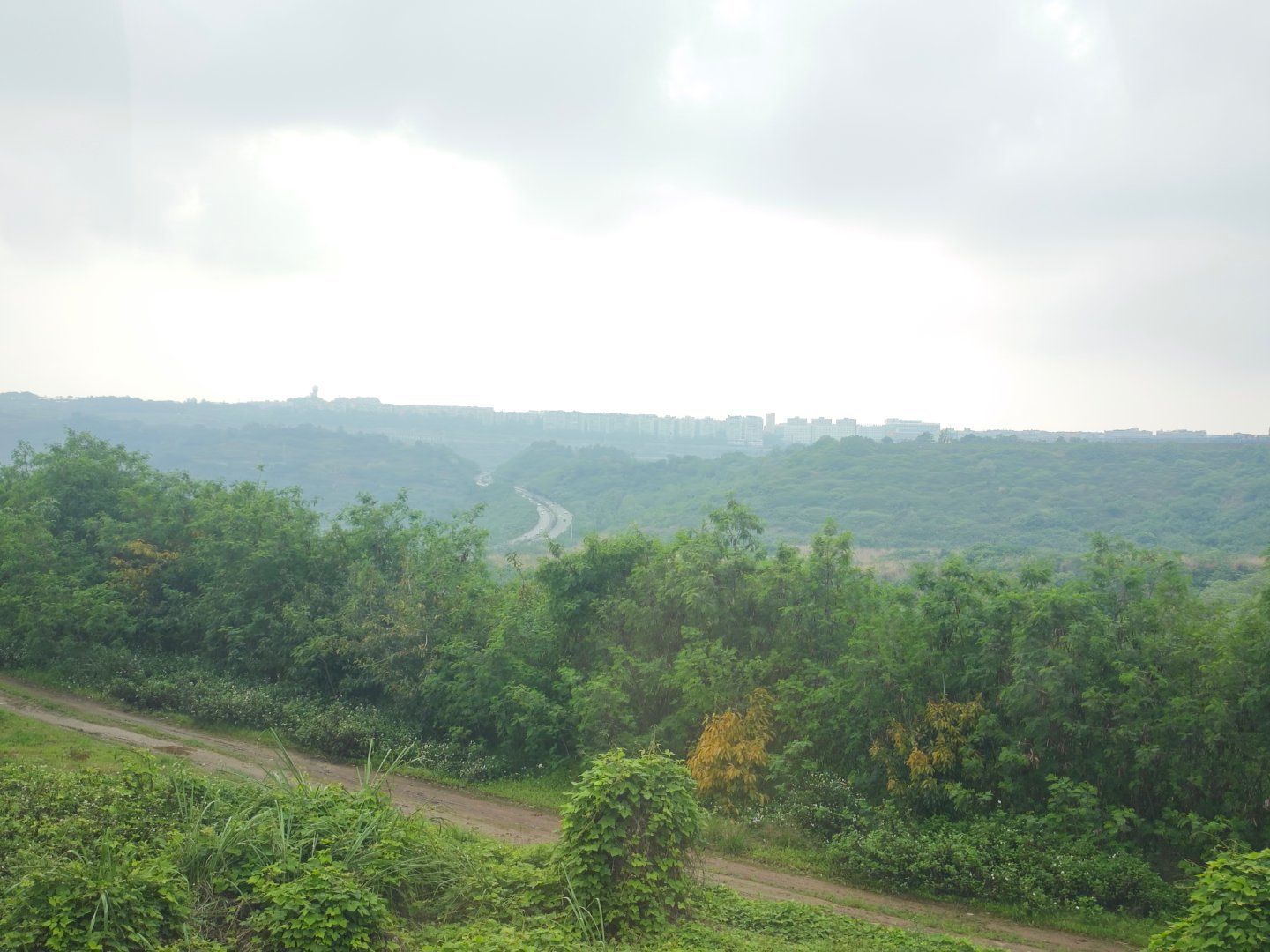 52个8.88元锦鲤，转➕评，仅限铁粉参与。谁是幸运⭐️红包抽奖  抽奖详情