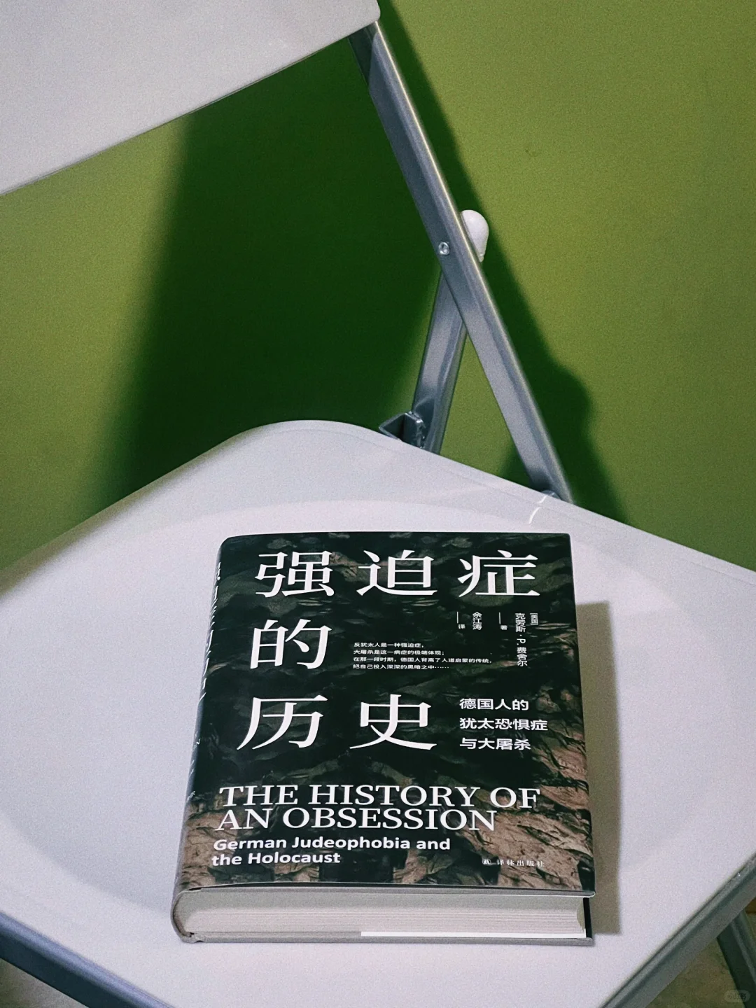 “犹太恐惧症，一种根植于历史深处的疾病”