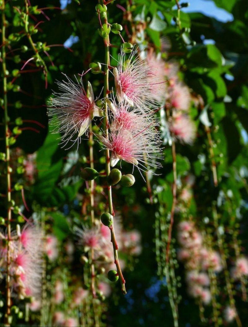 《惜余生》
年少疏狂，未及思量。
岁至迟暮，谨惜余光。
余生金贵，莫付荒唐。
与