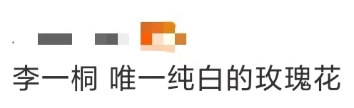 李一桐 唯一纯白的玫瑰花 李一桐 唯一纯白的玫瑰花！李一桐这组哥特风造型把“纯白