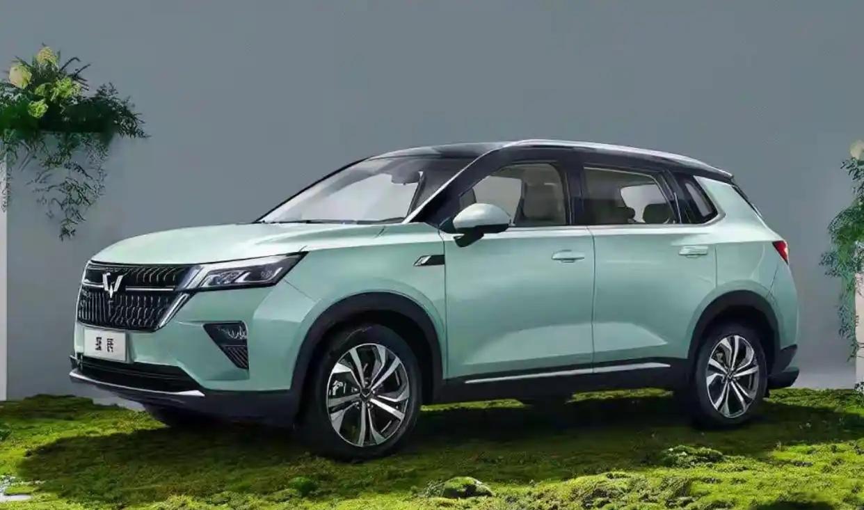 我的年度菱感记忆——星光730

售价7.3万元起/三种动力版本 五菱星光730