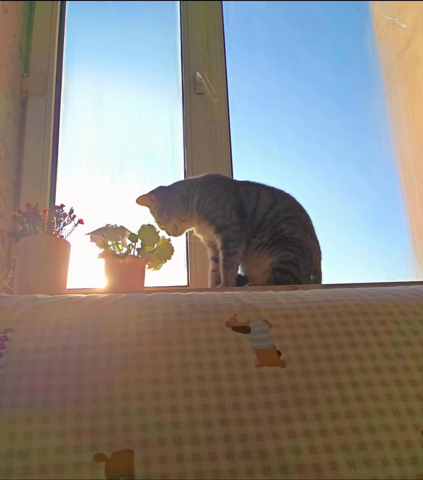 算了你肯定觉得没有意思